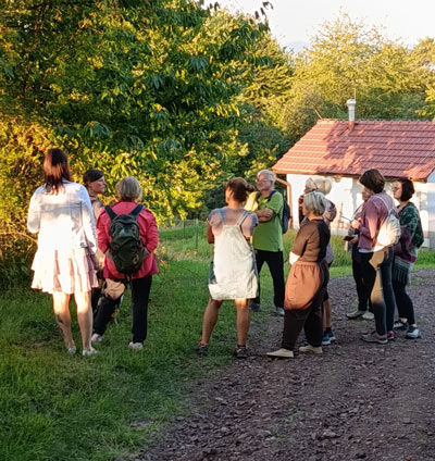 procházka za bylinkami a jejich poznáváním